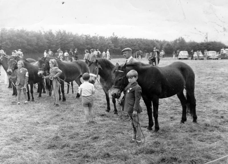 Young Handlers class at Exford